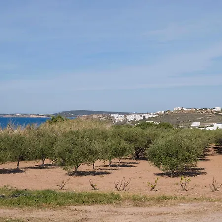 Paros Vivienda * Naousa (Paros)