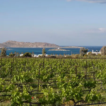 Paros Vivienda * Naousa (Paros)